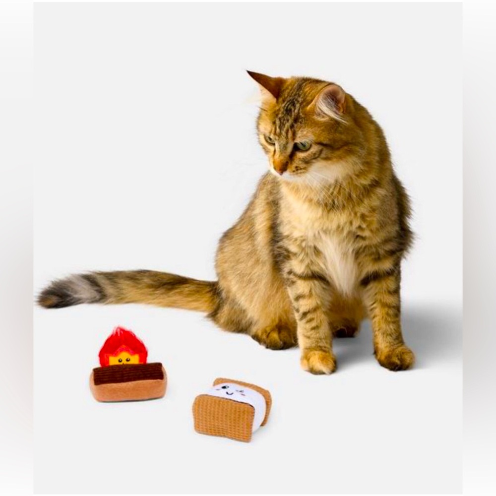Catnip Pounce S’more & Fire Cat Toy Set - 2pk - Boots  Barkley™ NIP